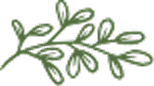 Izimbali Herbals